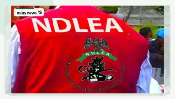 NDLEA Records 15,000 Convictions and 15 Million Kg Drug Seizures in 65 Months