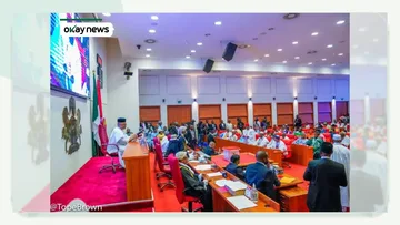 Nigeria Senate Holds Emergency Session on State Police Bill