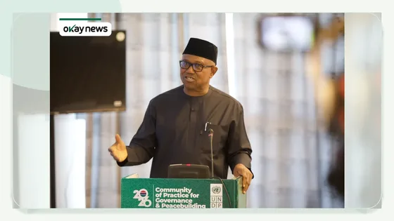 ‘Nigerian Leaders More Focused on 2027 Elections Than Insecurity’ – Peter Obi
