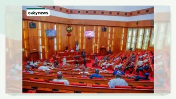 Nigerian Senate Suspends Plenary Over Lawmaker’s Death