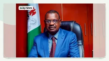 Nigeria’s Grid Capacity Reaches 8,700MW, Highest Ever — TCN
