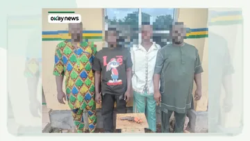 Oyo Police Arrest Four Suspected Armed Robbers, Cultists