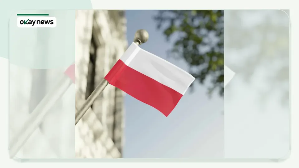 Poland Plans School Phone Ban and Tougher Pornography Controls for Children