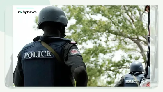 Police Arrest Man Over Fake Video in Ogun