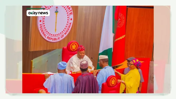 Nigeria Senate