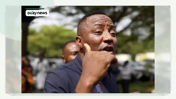 Sowore Falls After Teargas Fired at Abuja Protest