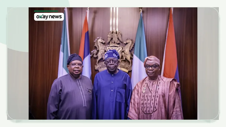 Tinubu Swears In New Power Minister, Minister of State for Foreign Affairs