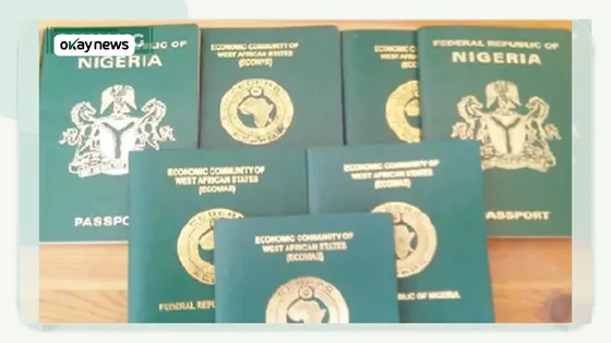 Federal Government Justifies Passport Fee Increase, Cites Integrity and Efficiency Goals