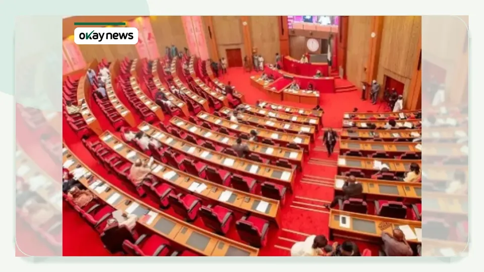 Nigeria Senate Faults Governor Makinde Over UN Probe Call