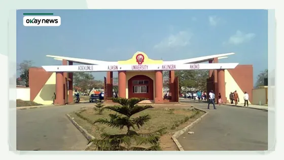 Nigerian Lecturers Strike Over Unpaid Salaries at State University