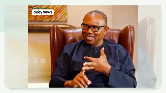 Obi Defends Claim Over $150m and N36bn State Savings