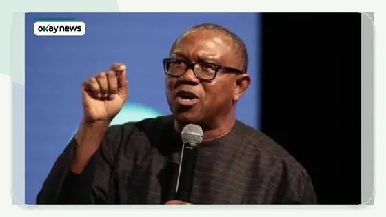 Peter Obi Condemns Renewed Killings in Benue and Plateau
