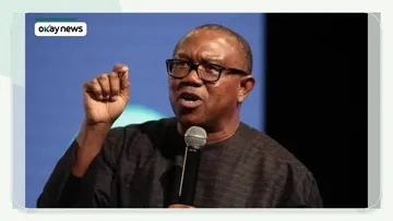 Peter Obi Condemns Renewed Killings in Benue and Plateau