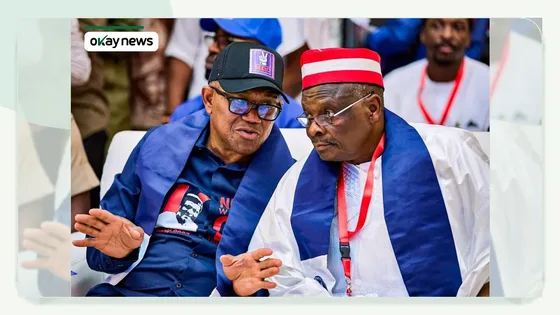 ‘Stop Weaponizing State Institutions’ —Kwankwaso Faults FG Over Peter Obi’s Safety, El-Rufai’s Detention