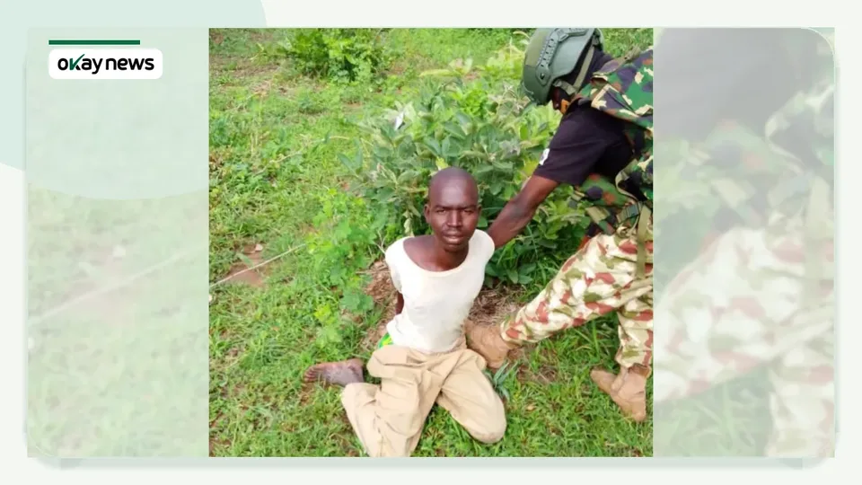 Troops Arrest Sudanese Terrorist Fighter, Ghanaian Illegal Immigrant in Borno