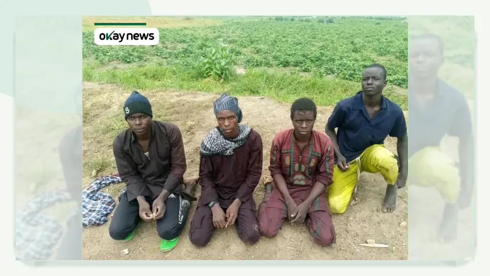 150 Terrorists Surrender in North-East Nigeria
