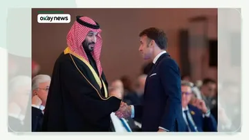 France, Saudi Arabia Agree on €6bn Dragon Ball Theme Park in Paris