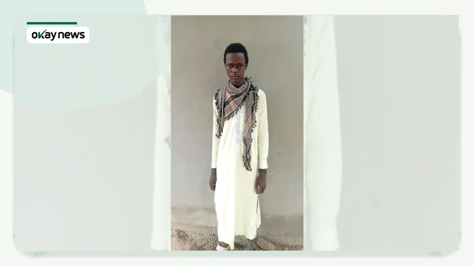 ISWAP Fighter Surrenders in Borno After Eight Months With Group