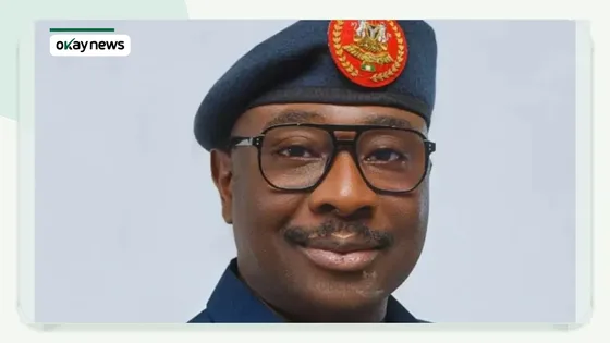 Nigerian Air Force Strike Kills Nine ISWAP Fighters in Borno