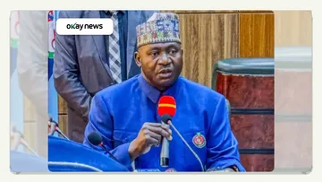 Defense Minister Says Vast Sambisa Forest Overwhelms Operations